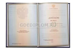 диплом педагога вуз 2004-2009