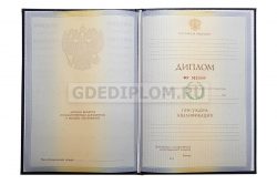 диплом педагога вуз 2010-2011